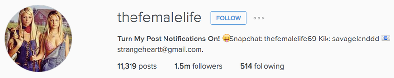 Illustration for article titled Dear God: Please Let Instagram's Algorithm Put Shitty Spammers In Their Place